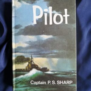 Pilot