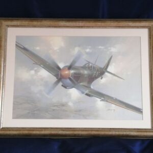 Spitfire MkIX 'Orissa IX'