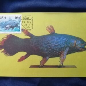 Post card - The living Coelacanth Latimeria Chalumnae