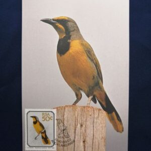 Post card - South African birds Telophorus zeylonus