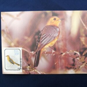 Post card - South African birds Cossypha natalensis