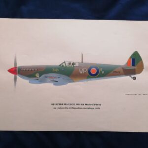 Spitfire MkIX WR-RR MA793 / PT672 print